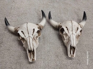 Western Buffalo Bull skull resin wall mount 9" Home Decor item - Picture 1 of 12