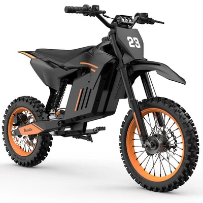 Bicicleta Eléctrica Pazolle X1 Delantera 14" y Trasera 12" 48V 3000W 30Ah Foto 1 de 4