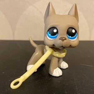 Authentischer Littlest Pet Shop #184 grauer Doggenhund - Bild 1 von 12