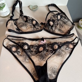 AGENT PROVOCATEUR JANIE BRA & BREIF SET SIZE 36D MEDIUM 10-12 AP3 NWOT 