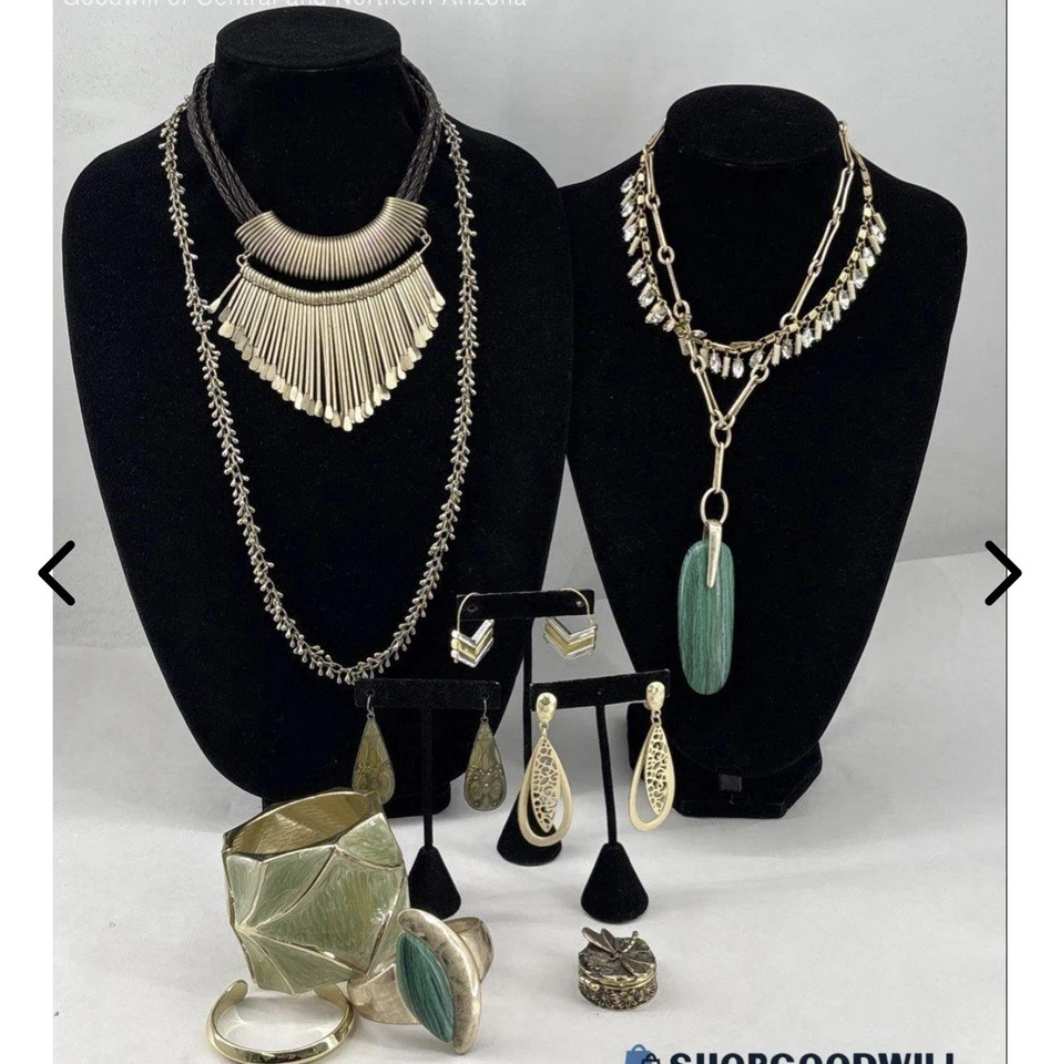 Chico’s J.Crew Robert Lee Morris Joyería Verde y Dorado/con Caja Baratija Libélula Foto 1 de 4