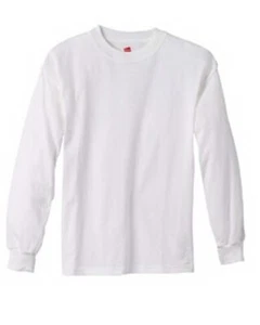 Hanes Youth Tagless ComfortSoft Long-Sleeve T Shirt, cotton, NEW WITH TAG - Picture 1 of 2