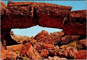 Brücke aus versteinertem Holz VERSTEINERTER WALD NATIONALPARK Arizona 4x6 Postkarte - Bild 1 von 2