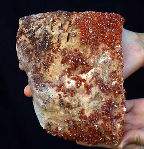 6,5" Hervorragende kirschrote Vanadinit Kristalle auf Matrix, Marokko! ! V314 - Bild 1 von 4