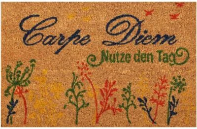 Fußmatte Kokos 25x50 cmTürmatte Fußabtreter Schmutzfangmatte Schmutzmatte Matte - Bild 1 von 4
