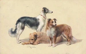 Motiv - Karte von drei Hunden verschiedene Rassen Ansichtskarte (10354) - Imagen 1 de 2