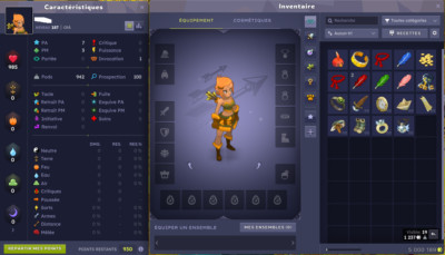 Deux Comptes Dofus Sur Tyzelia - PC - MMORPG - Neufs (codes Non Utilisés)