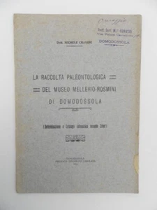 La raccolta paleontologica del museo Mellerio-Rosmini di domodossola. M. Craveri - Picture 1 of 3