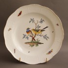 Porcelaine de Meissen - Décor Ornithologique - Assiette creuse - XVIIIe Siècle