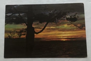 Sonnenuntergang über dem Wasser. Postkarte (U2) - Bild 1 von 2