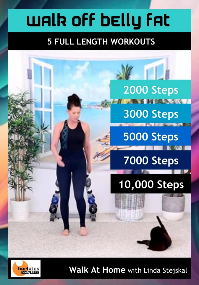 Walk Aerobics Indoor Walking Workout DVD WALK OFF BELLY FAT 5 Workout DVD - Image 1 of 1