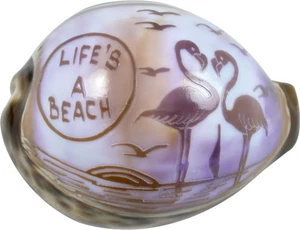 5 "LIFE'S A BEACH" Carved Cowrie Shells (Set of 5) - Picture 1 of 1