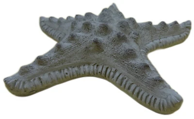 großer Deko Seestern 18 x 18 x 4 cm Maritim Stachelhäuter Figur Deko GTT J278 - Bild 1 von 4