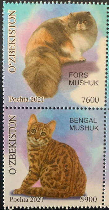 Uzbekistan 2021 Fauna of Uzbekistan. Cats Bengal - Image 1 of 1