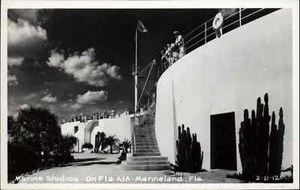 Marineland FL Marine Studios 2-D-12 Echtfoto Postkarte - Bild 1 von 2