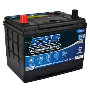 12V 550CCA NS50P CALCIUM BATTERY MAINTENANCE FREE HOLDEN FORD - Picture 1 of 3
