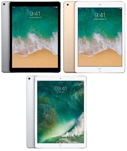 Apple iPad Pro 2nd Gen 2017 12.9" A1670 64/2456GB Grey/Silver WiFi VERY GOOD~ - Picture 1 of 9