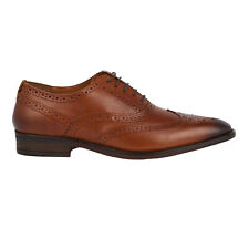 Burton  Zapatos de Cordones de Cueros con Cordones Diseño Oxford para (BW778)