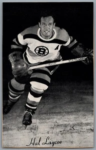1944-1964 Bee Hive Boston Bruins Hal Laycoe NHL Hockey - Bild 1 von 2