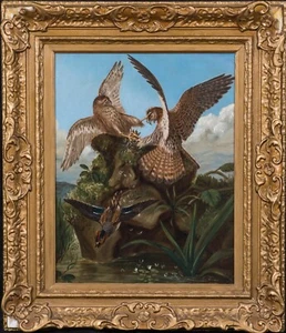 Large 19th Century Pairs Of Hawks Fighting Bird John James AUDUBON (1785-1851) - Picture 1 of 10