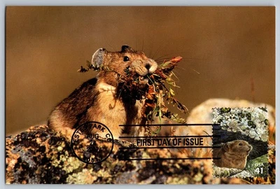#4198d Alpine Tundra American Pika FDC Maxi Card - Image 1 of 2