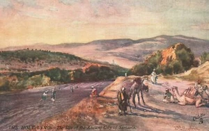 Vintage Postcard Holy Land Site Of Ancient City Olive Clad Hill Samarta Russia - Picture 1 of 2