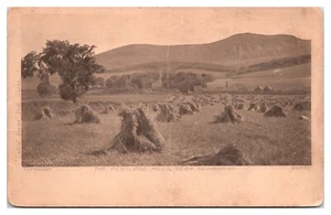 ANTQ The Pentland Hills, Near Edinburgh, Schottland, UK Postkarte - Bild 1 von 2