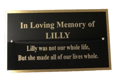 SPEEDY AWARDS ENGRAVED BRASS PLATE PICTURE FRAME ART MEMORIAL LABEL NAME TAG 3" x 5" FAST SHIP