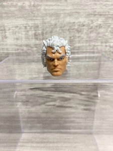 Marvel Legends X-Men Hasbro Magneto Cabeza SIN ENMASCARAR SOLO Forraje Personalizado - Imagen 1 de 4