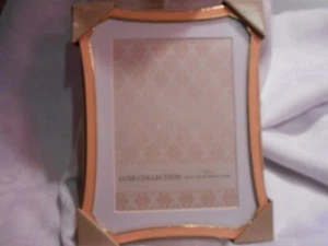 FETCO-ELLISSE 4X6'' PEACH AND GOLD PICTURE FRAME - Picture 1 of 1