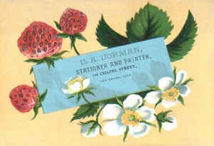 Papelería e impresora Victorian Trade Card O A Dorman New Haven Connecticut - Imagen 1 de 2