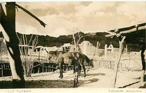 Tarjeta postal 25-10775 de atracciones turísticas de Tucson Arizona de la década de 1940 - Imagen 1 de 2