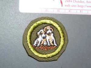 Boy Scout Merit Badge Dog care circa '46-'59 3986M - Picture 1 of 1