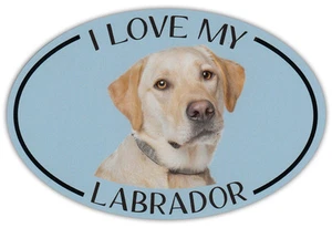 Imán de foto de raza de perro ovalado - I Love My Labrador (Laboratorio amarillo) - pegatina - Imagen 1 de 1