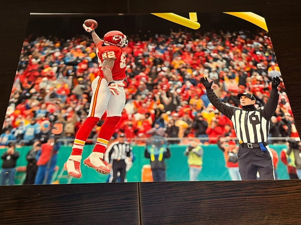 Foto Chiefs Dwayne Bowe 11x14 Foto 1 de 1