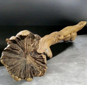 Statua scultura lucertola legno burl intagliato a mano vintage decorazione casa - Foto 1 di 8
