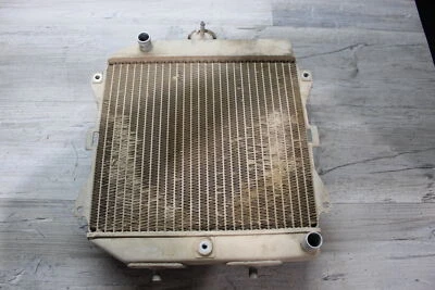 Honda Rancher 420 Trx420 2010 4x4 ES EPS motor radiador motor refrigeración Foto 1 de 4