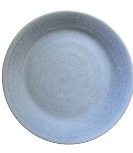 New Pottery Barn Set of 4 Larkin Outdoor Melamine Dinner Plates Chambray Color - Picture 1 of 4