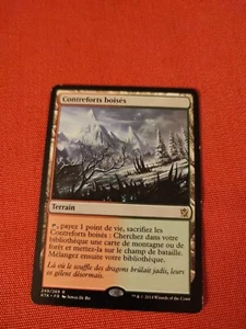 Foothills Boises Wooded Foothills Khans of Tarkir Rare Card Magic MTG FR - Picture 1 of 2