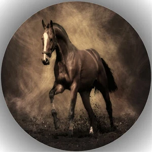 Tortenaufleger Geburtstag Party Tortenbild Fondant - Oblate Pferde P52 - Bild 1 von 1