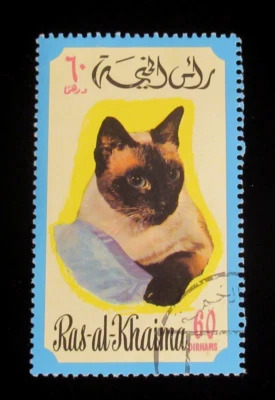 Estampillas Ras al Khaima gato siamés gatos lindos usadas Foto 1 de 2