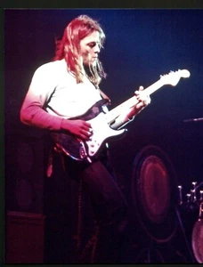 PINK FLOYD DAVID GILMOUR CLASSIC ON STAGE CONCERT COLOR PHOTO 8x10 GLOSSY MINT - Picture 1 of 2