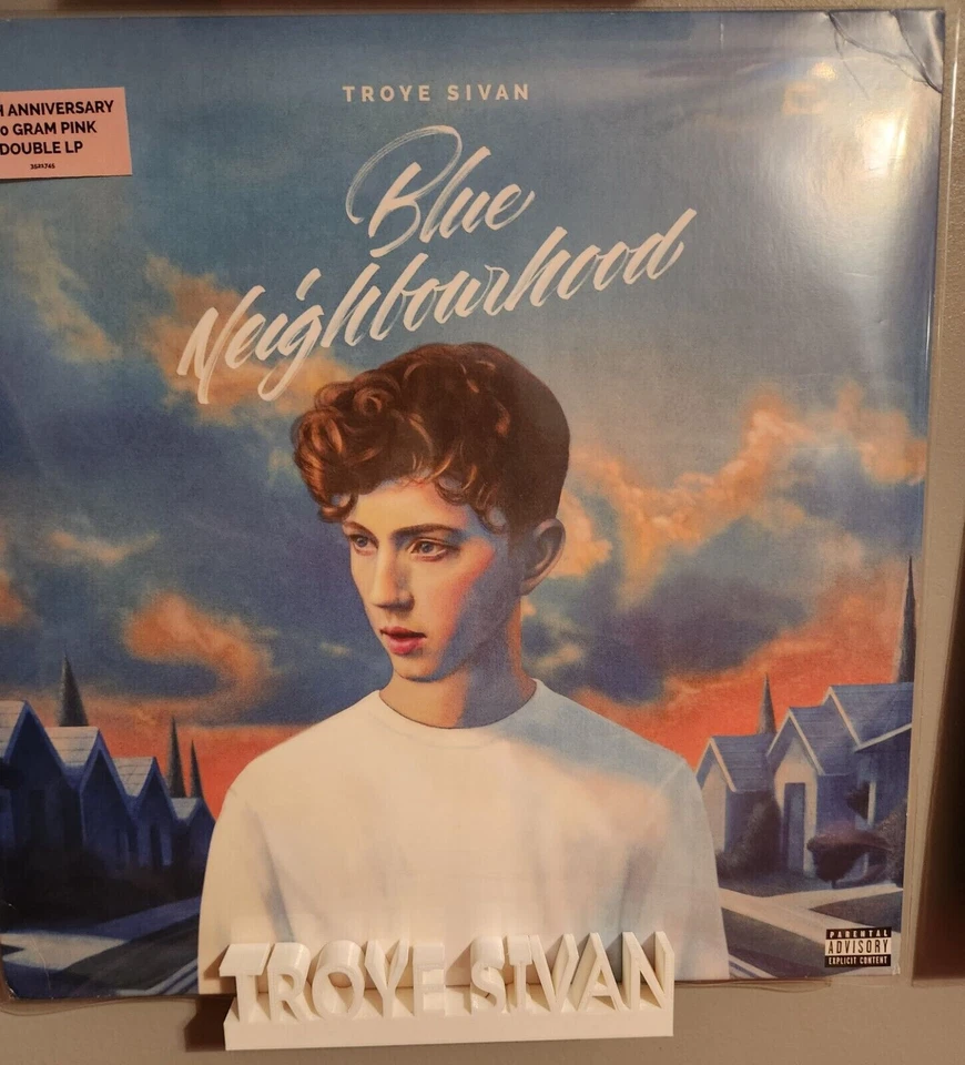 Troye Sivan Vinyl Record Wall Mount Display Shelf, Record Storage, Large White - Imagem 1 de 1