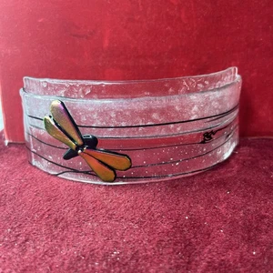 A Latta's Newport Oregon Fused Glass Art Piece Dichroic Dragonflies Curved Glass - Picture 1 of 5