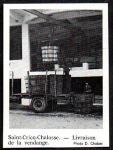 1970  --  SAINT CRICQ CHALOSSE LIVRAISON DE LA VENDANGE . 3T677 - Imagen 1 de 1