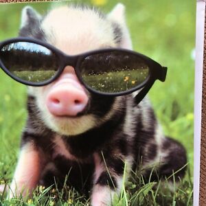 Blank Card, Piglet In Sunglasses , Cute, Pigs, Animal Magic