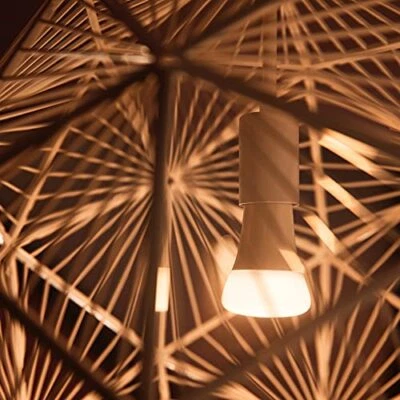 Philips Hue White A19 Medium Lumen Smart Bulb, 1100 Lumens, Bluetooth & Zigbe... - Image 1 of 4