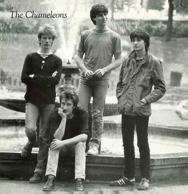 The Chameleons Tony Fletcher Walked On Water Vinyl EP  **NEW** - Image 1 of 2