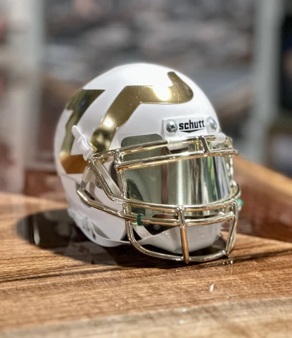 SOUTH FLORIDA BULLS WHITE & GOLD CHROME MASK MINI AUTHENTIC FOOTBALL HELMET Cover