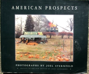 American Prospects by Andy Grundberg 1994 Trade Paperback - Imagen 1 de 8